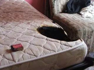 禁用阻燃剂，你家床垫同意了吗？